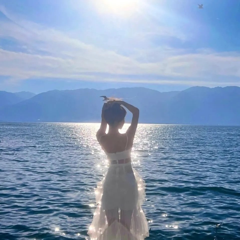 狸想世界 海报