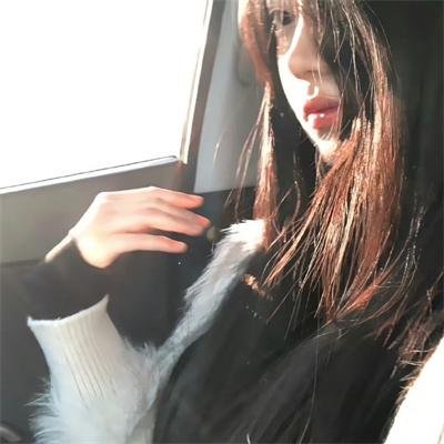 万能金龟车 海报